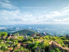 -长虫山生态公园风景林