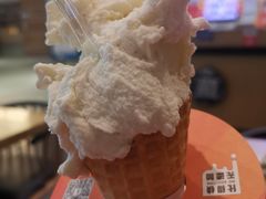 -野人先生现做冰淇淋(北京环宇荟店)