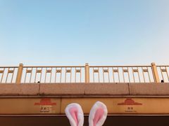 -北京饭店
