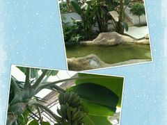 -兰陵国家农业公园