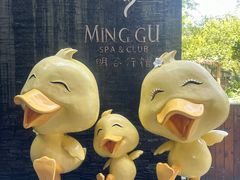 -明谷行馆·温泉