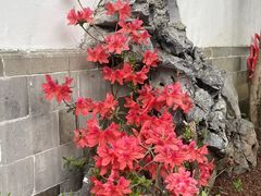-老门东历史文化街区