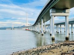 -深圳湾公园(南山区)