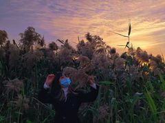 -芒洲湿地公园
