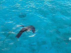 -南戴河国际娱乐中心