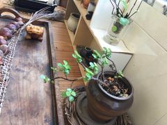 -弘法寺斋菜馆素食