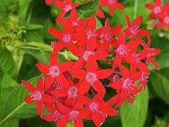 -福田红树林生态公园