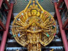 -上海东林寺(金山区)