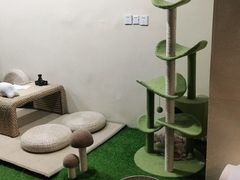 -白兔子密室(长寿路店)