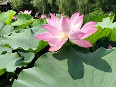 -承德避暑山庄景区