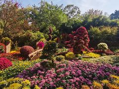 -杭州植物园