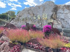 -北京西山国家森林公园