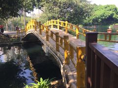 -晓港公园