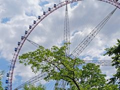 -哈尔滨文化公园