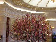 IMG_0624-澳门君怡酒店