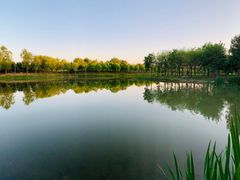 -东郊湿地公园