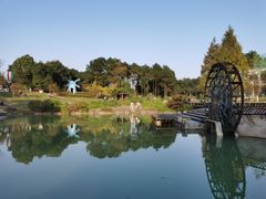 -铁山坪森林公园