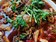 -蟹掌柜肉蟹煲(公园路店)