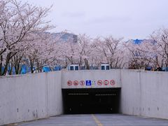-龙美术馆(西岸馆)