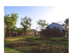 -田园东方蜜桃村的田野营地
