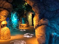 -沈阳海洋探索中心