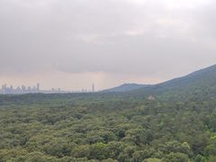 -紫金山山顶公园