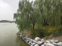 -大兴滨河森林公园