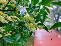 -敬亭山风景名胜区