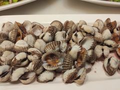 -华盛丰温州大排档(东三环南路店)