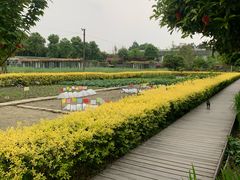 -洪湖家庭农场·团建·露营·会议