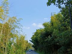-南北湖风景区