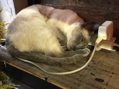 -MIKAKU(万达广场上海宝山店)