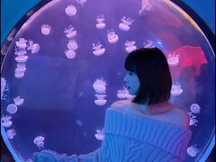 -左海海底世界