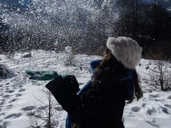 -麻雀咖啡SPARROW COFFEE(十全街店)