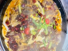 -老板恋上鱼(恒隆广场店)