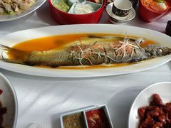 -北纬39度天津宴(黑牛城道店)