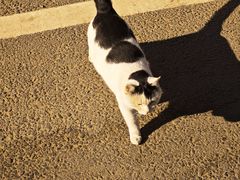 -辛庄国际文化艺术区