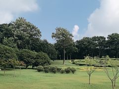 -宜兴龙背山森林公园