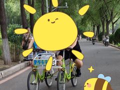 -丁香湖公园