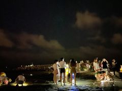-南汇嘴观海公园