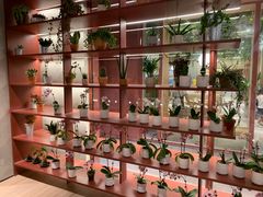 -二酉书店TOYOU BOOKS