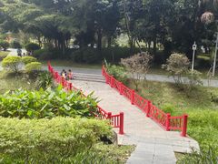 -东莞植物园