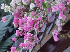 -深圳国际园林花卉博览园