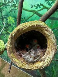 -Zoolung Zoolung动物主题公园(海信广场店)