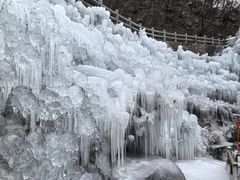 -陕西省红河谷森林公园