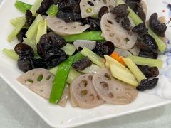 -姚林轩