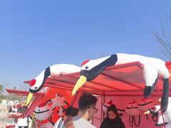 -盐城丹顶鹤湿地生态旅游区