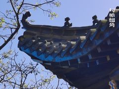 -石老人观光园
