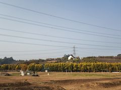 -紫颐香薰山谷景区