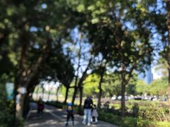 -顺峰山公园